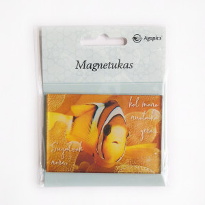 Magnetukas