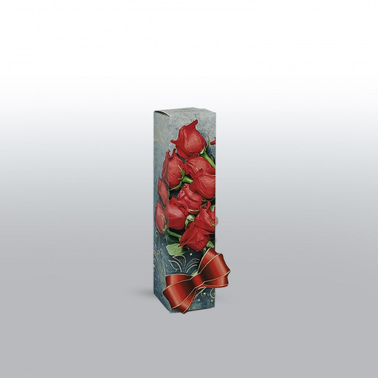 dp6706.jpg