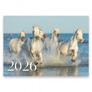 Didelis sieninis kalendorius su juostele 2026