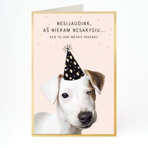 Atvirukas&nbsp;su voku