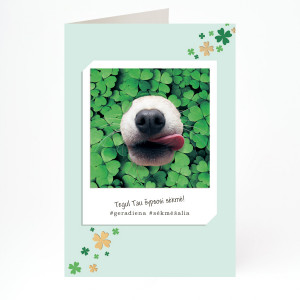 Atvirukas su judesio efektu ir voku