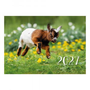 Didelis sieninis kalendorius su juostele 2027