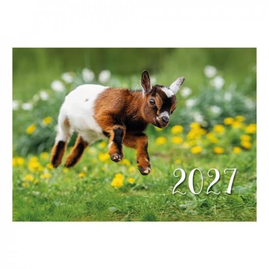 ka7256-virselis-6433300986554.jpg