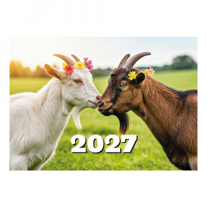 Didelis sieninis kalendorius su juostele 2027