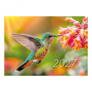 Didelis sieninis kalendorius su juostele 2027
