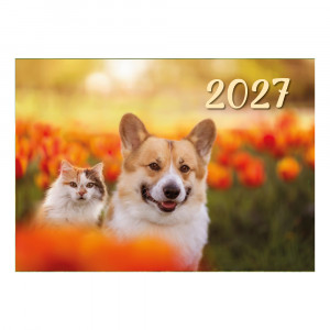 Didelis sieninis kalendorius su juostele 2027