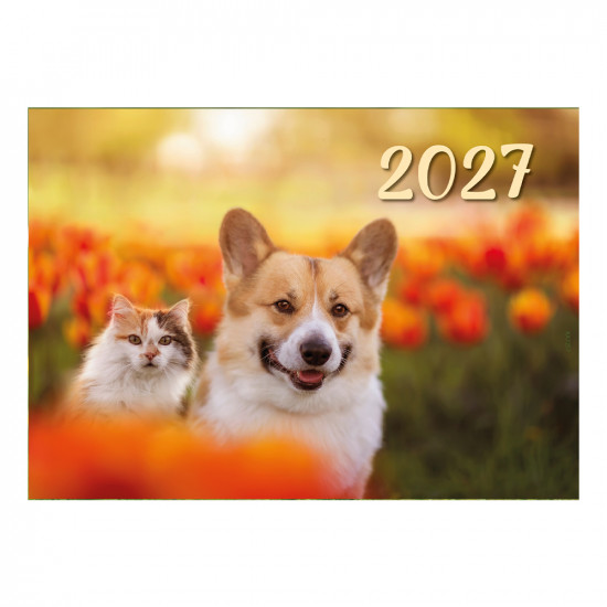 ka7257-virselis-6433300986578.jpg