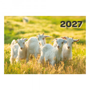 Sieninis kalendorius su juostele 2027